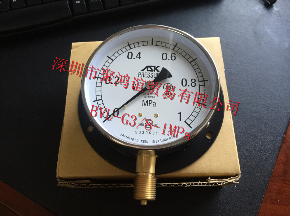 ASK 压力表 BVU-G3/8-100x1MPa