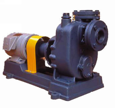 (株)寺田ポンプ製作所 P形泵